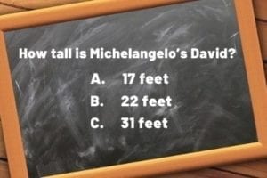 question - Michelangelo