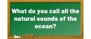 question - ocean