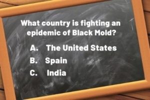 question - black mold