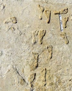 Human-fossilized-footprints-at-White-Sands-National-Park