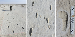 footprints fossil