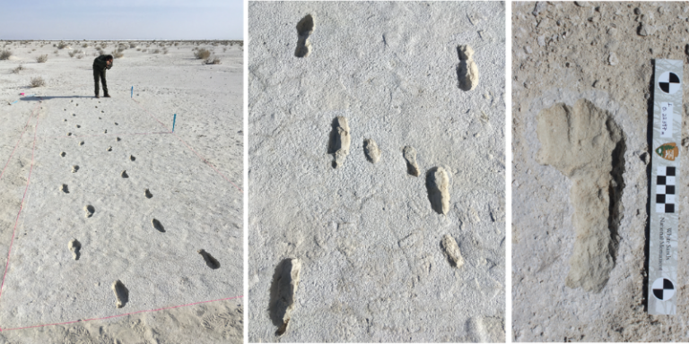footprints fossil