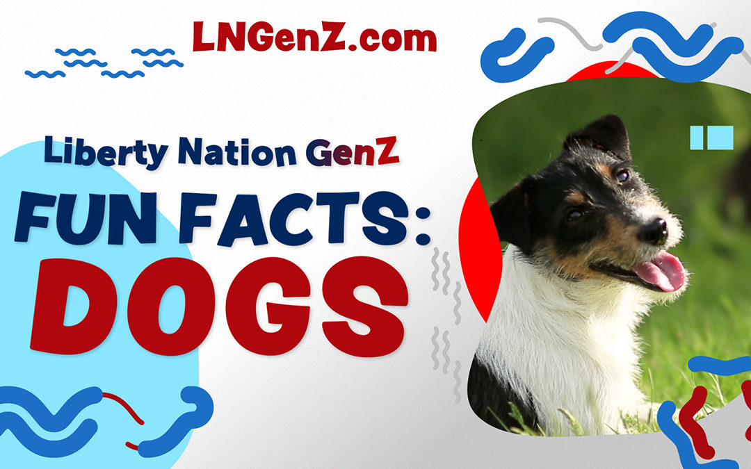 Dogs – Fun Facts