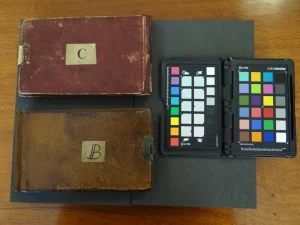 darwin's notebooks