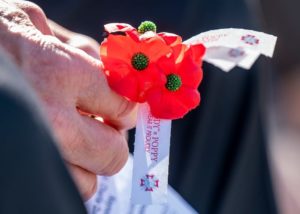 GettyImages-1352758196 poppies
