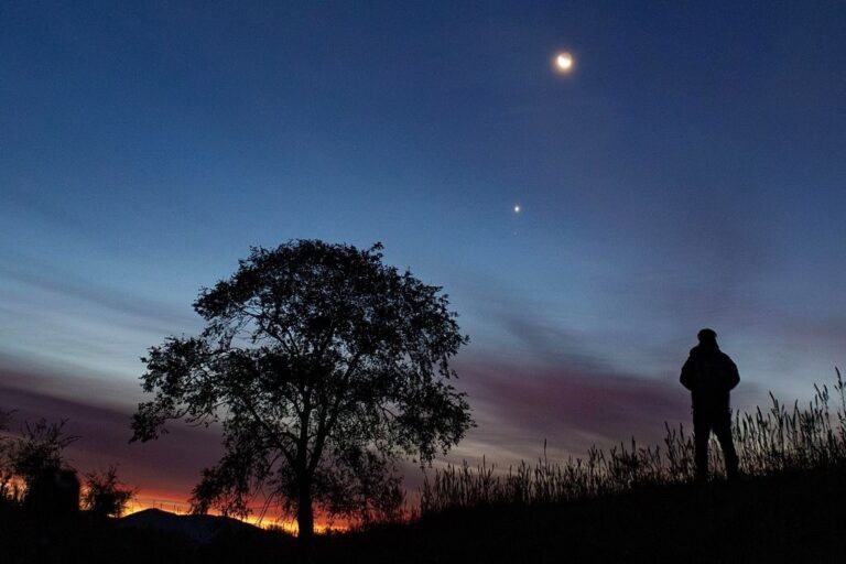 GettyImages-2236626252 Venus