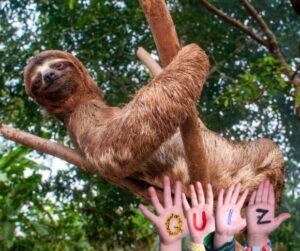 GettyImages-2161260684 sloths