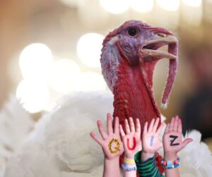 GettyImages-2248251813 turkey