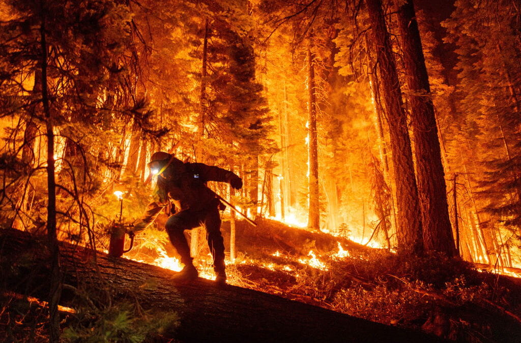 The Science and History of Fire