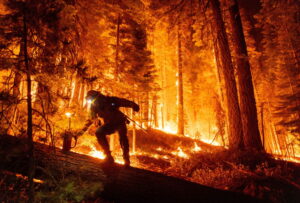 GettyImages-2165156194 fire