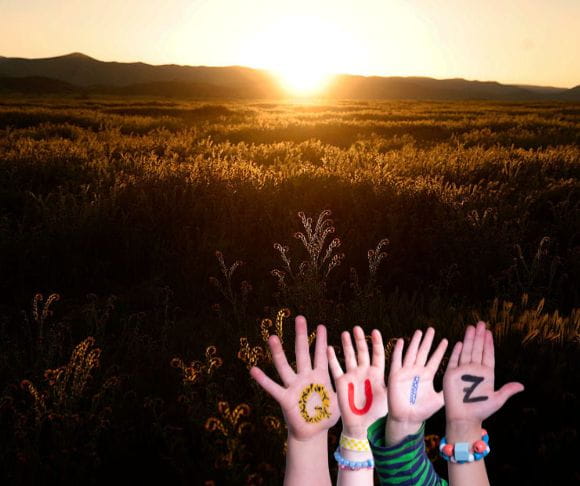 GettyImages-2266194203 plants